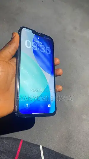Apple iPhone 13 Pro Max 256 GB Gray