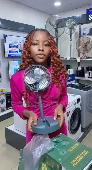 Rechargeable Fan