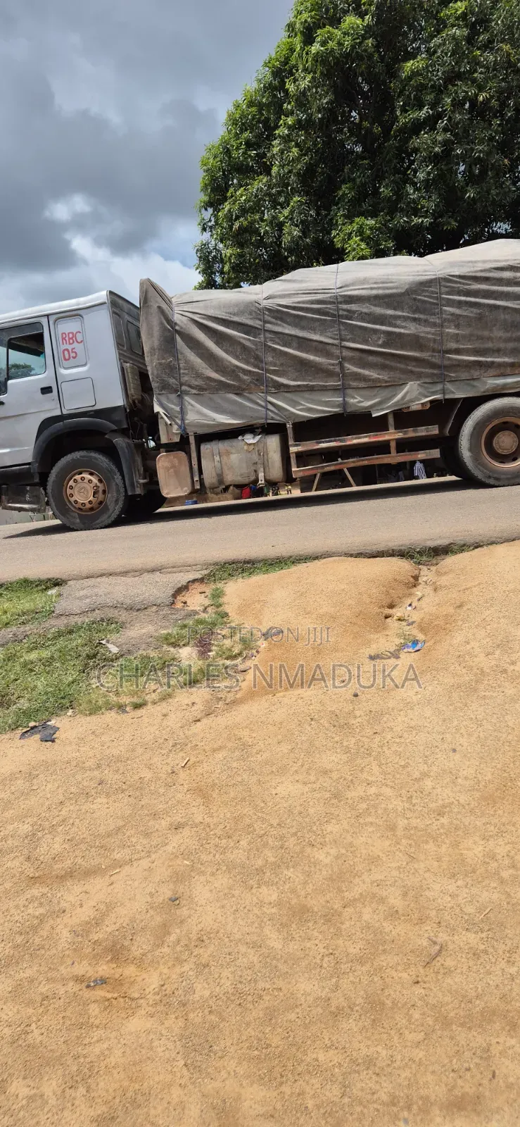 We Supply Dangote and Bua Cement