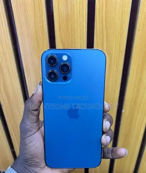Apple iPhone 12 Pro Max 256 GB Blue