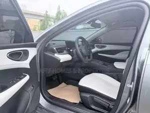 BYD Qin Plus DM-i 2025 Silver