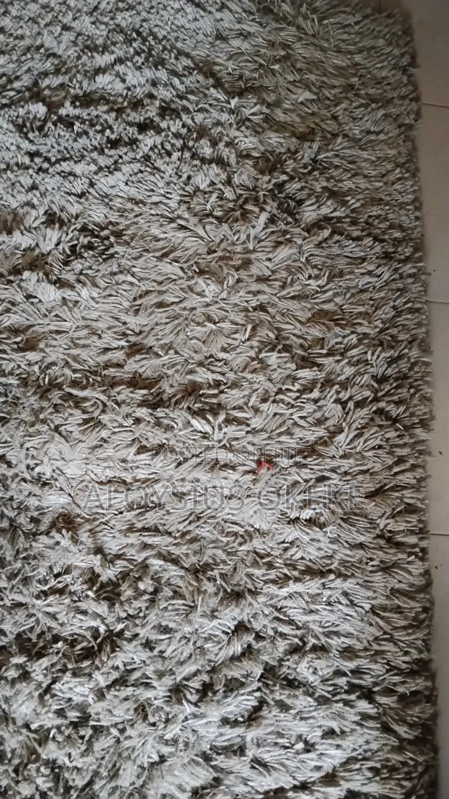 Foreign Imported Center Rug Carpet