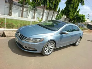 Volkswagen Passat 2012 Blue