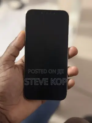 Apple iPhone 13 Pro 256 GB Silver