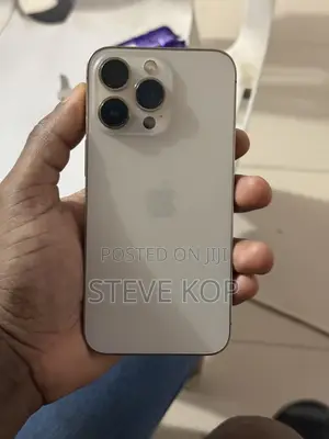 Apple iPhone 13 Pro 256 GB Silver