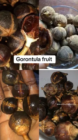 Gorontula Fruit