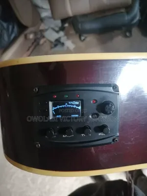 Semi Acoustic Guitar