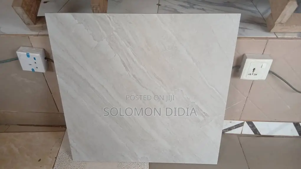 Goodwill 60/60 Rustic Floor Tiles for All Floors