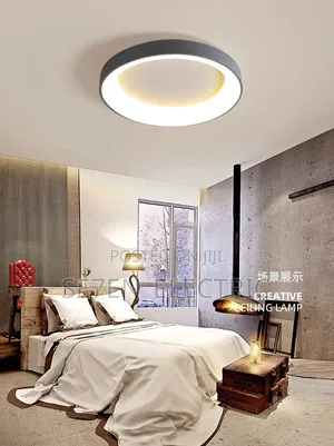 Grey Colour Bedroom Center Light 202
