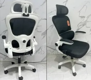 Executive Ergonomic Revolving Chair
