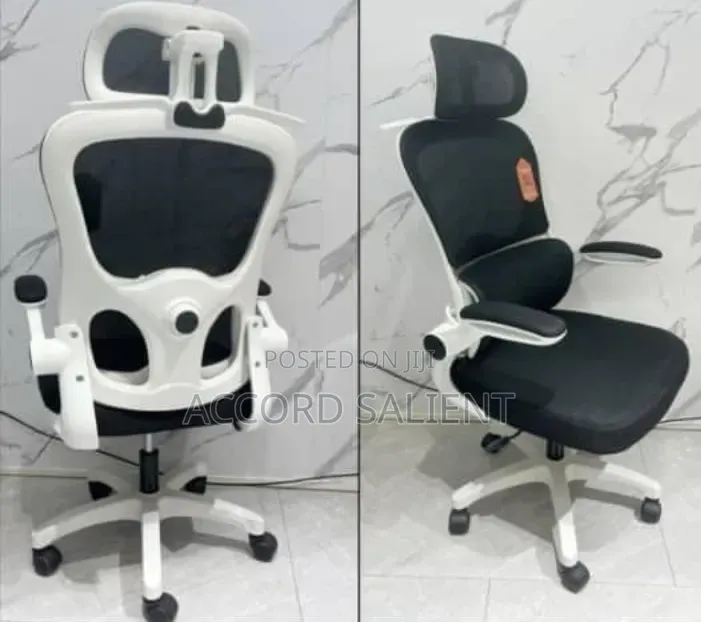 Executive Ergonomic Revolving Chair