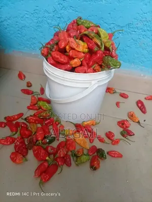 Fresh Pepper