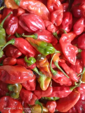 Fresh Pepper