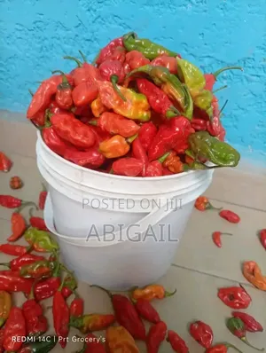 Fresh Pepper