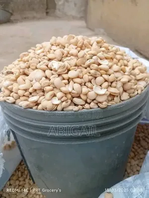 Peeled Beans