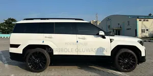 Hyundai Santa Fe Calligraphy 2024 White
