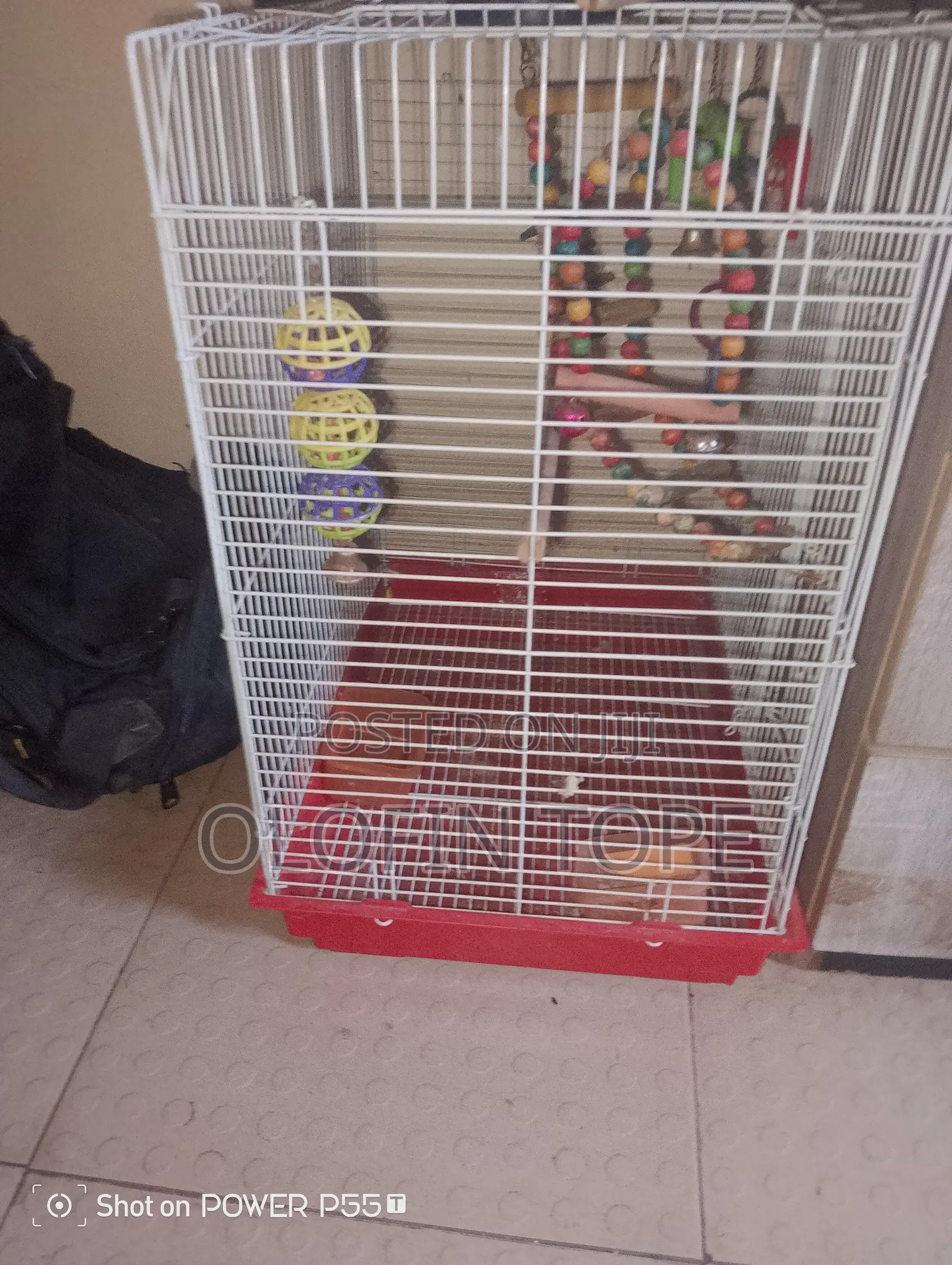 Big Bird Cage