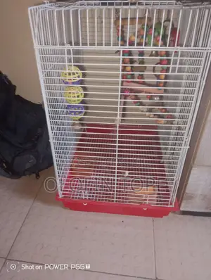 Big Bird Cage