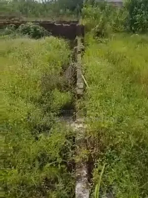100 by 50 Plot of Land at Chalisco Off Npa Expressway Warri Delta