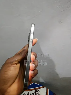 Apple iPhone 16 Pro Max 256 GB Gray