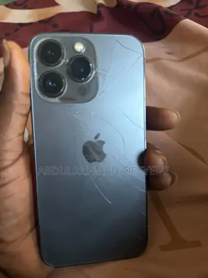 Apple iPhone 13 Pro 256 GB Gray