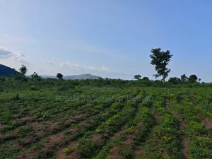 50 Hectares of Mixed-Use Land for Sale in Maitama 2, Abuja