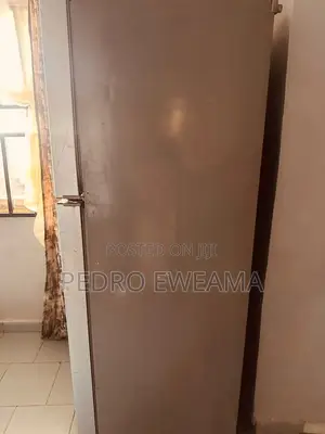 LG Double Door Fridge