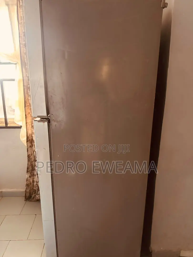 LG Double Door Fridge