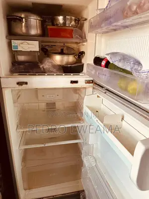 LG Double Door Fridge