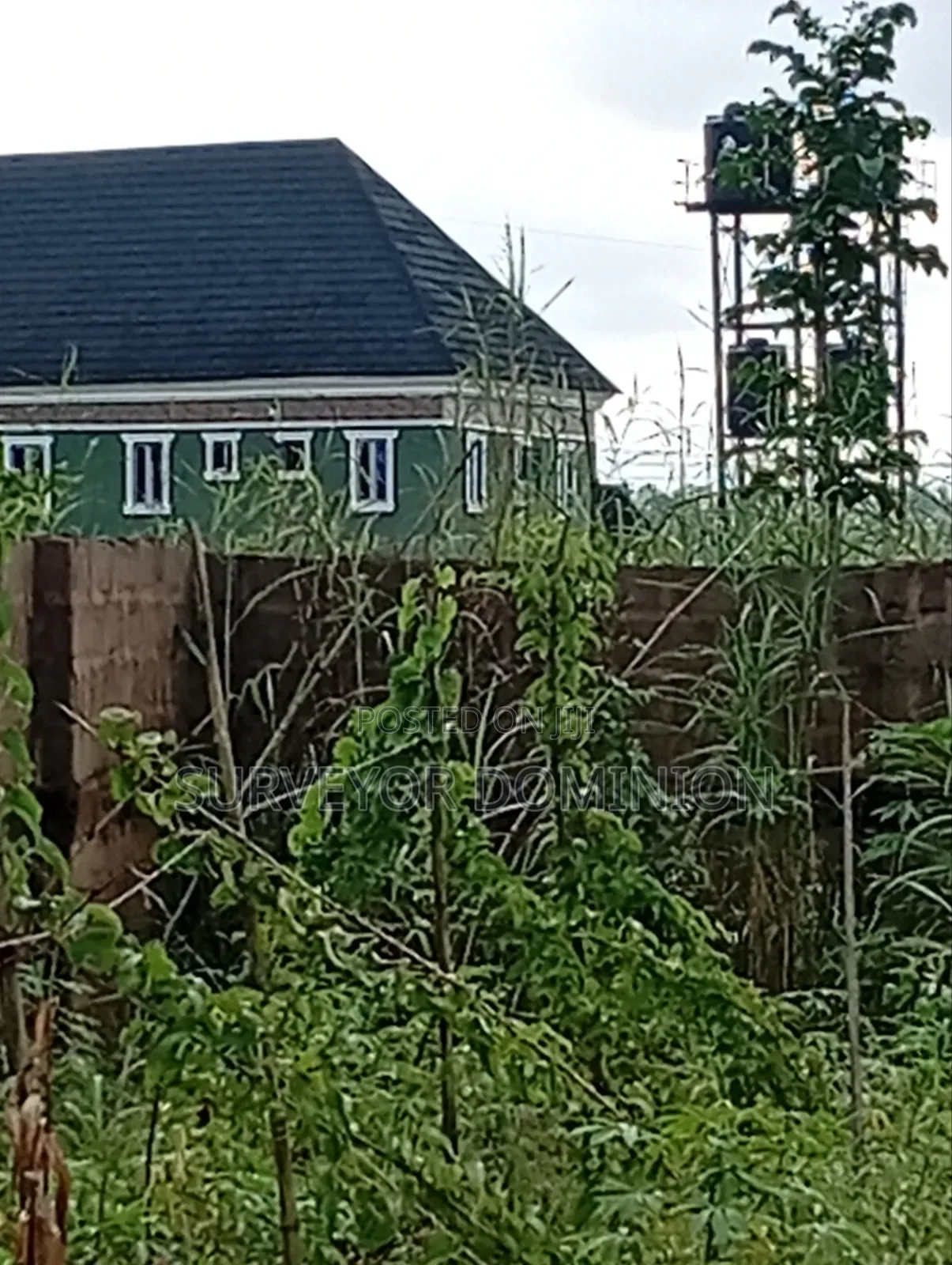 More Than One and Half Plot