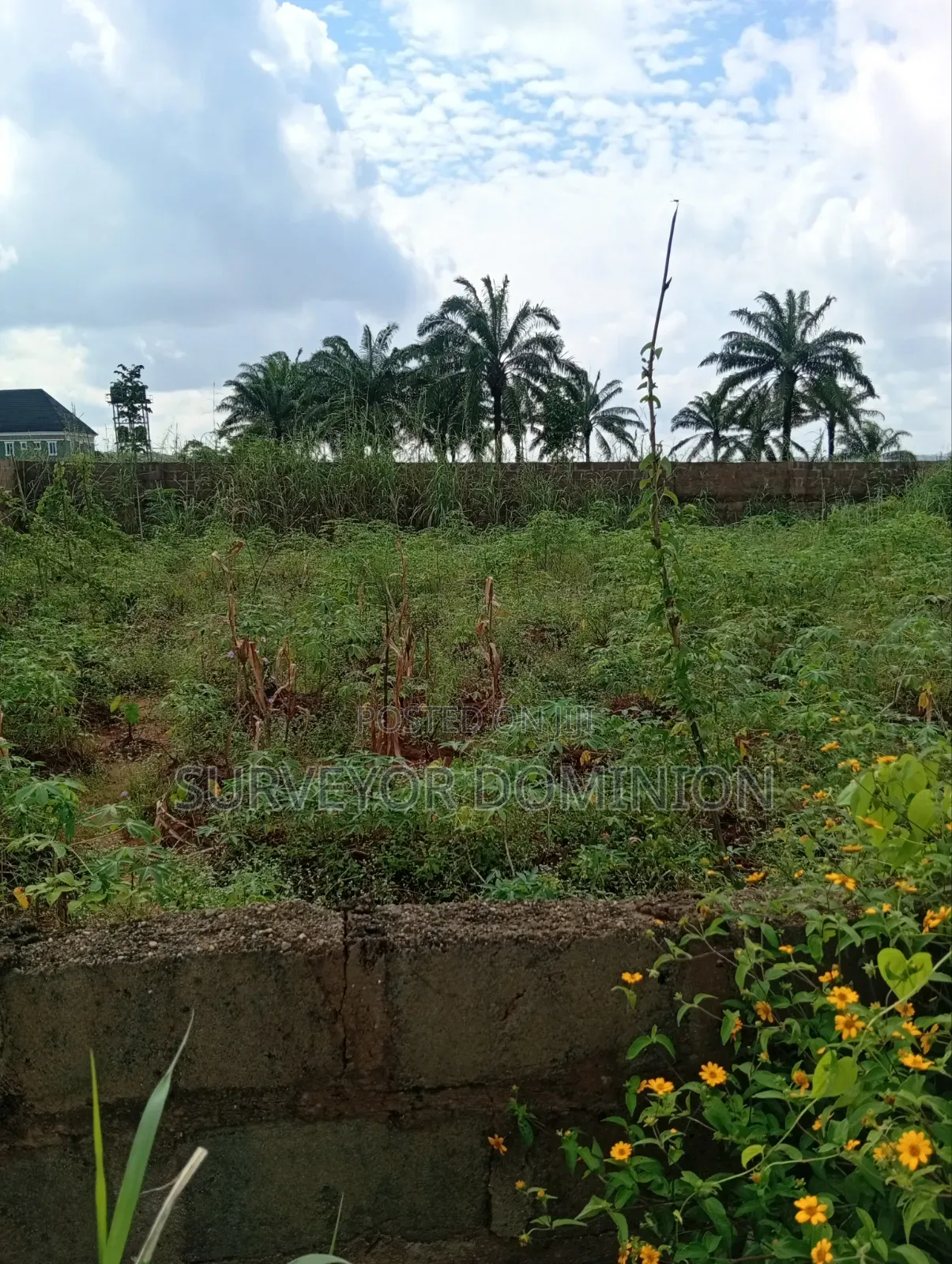 More Than One and Half Plot