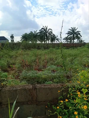 More Than One and Half Plot