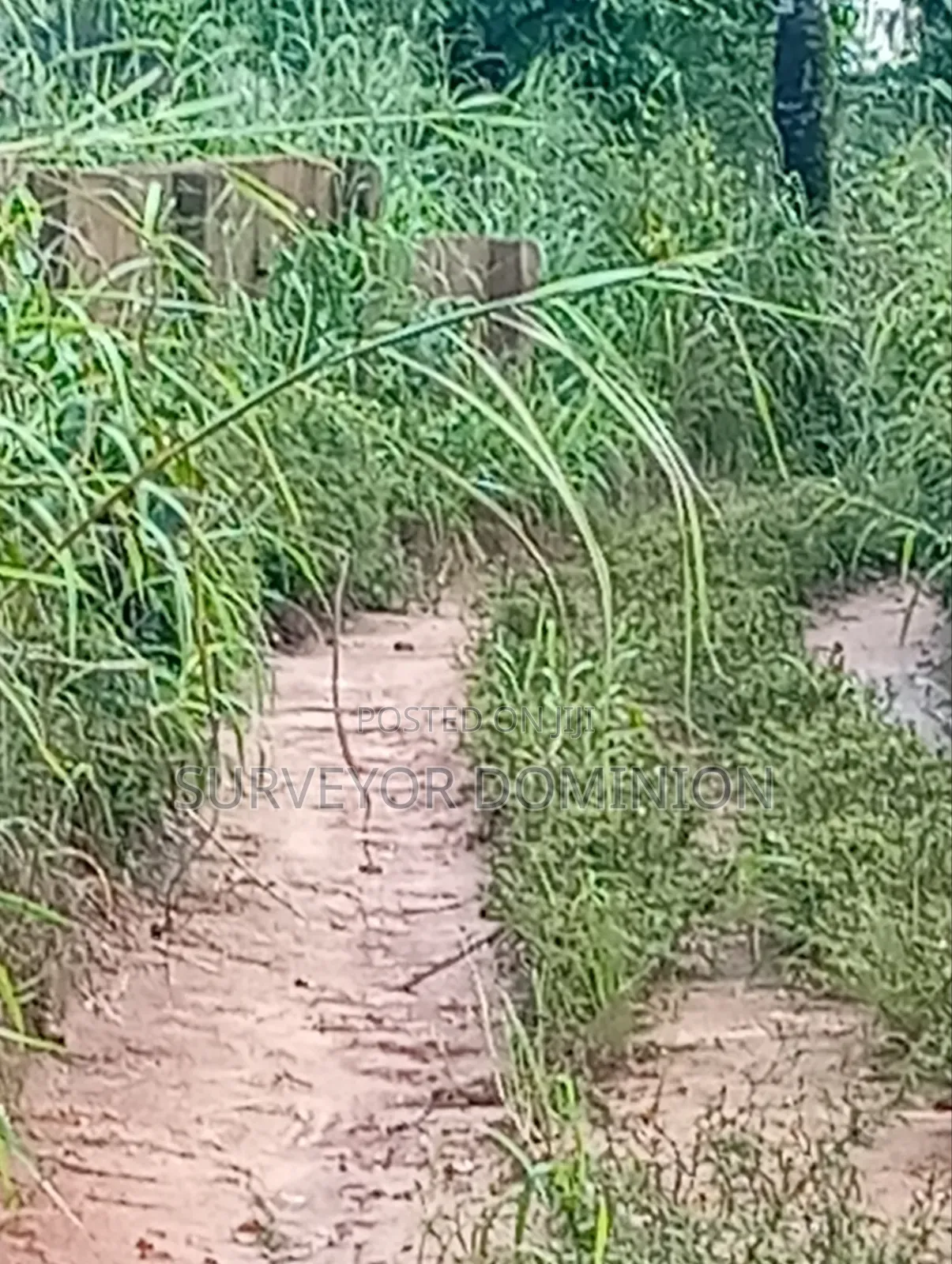 More Than One and Half Plot
