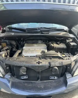 Lexus RX 2004 Gray