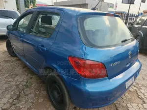 Peugeot 307 2008 Blue