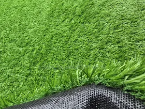 Premium Carpet Grass