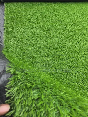 Premium Carpet Grass