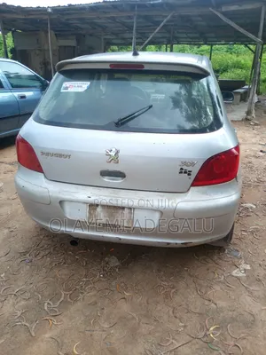 Peugeot 307 2005 Silver