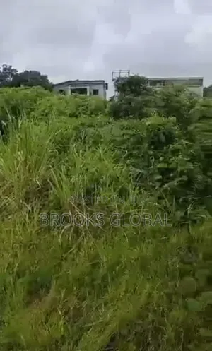 Sharp Land of 50/100 Chalisco, Off NPA Express, Warri for Sale