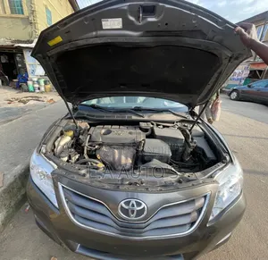 Toyota Camry 2010 Gray