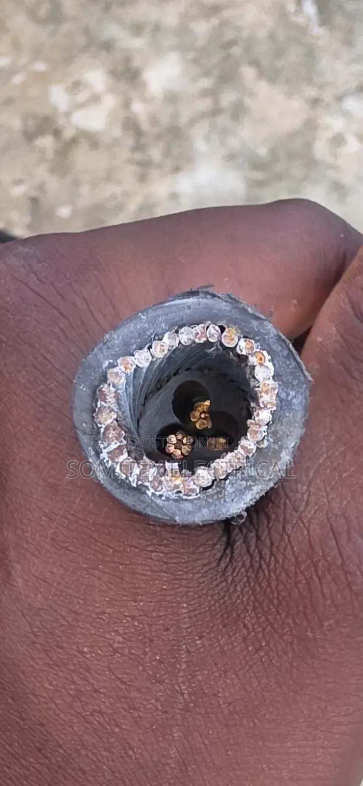 6mmx3core Amoured Turkey