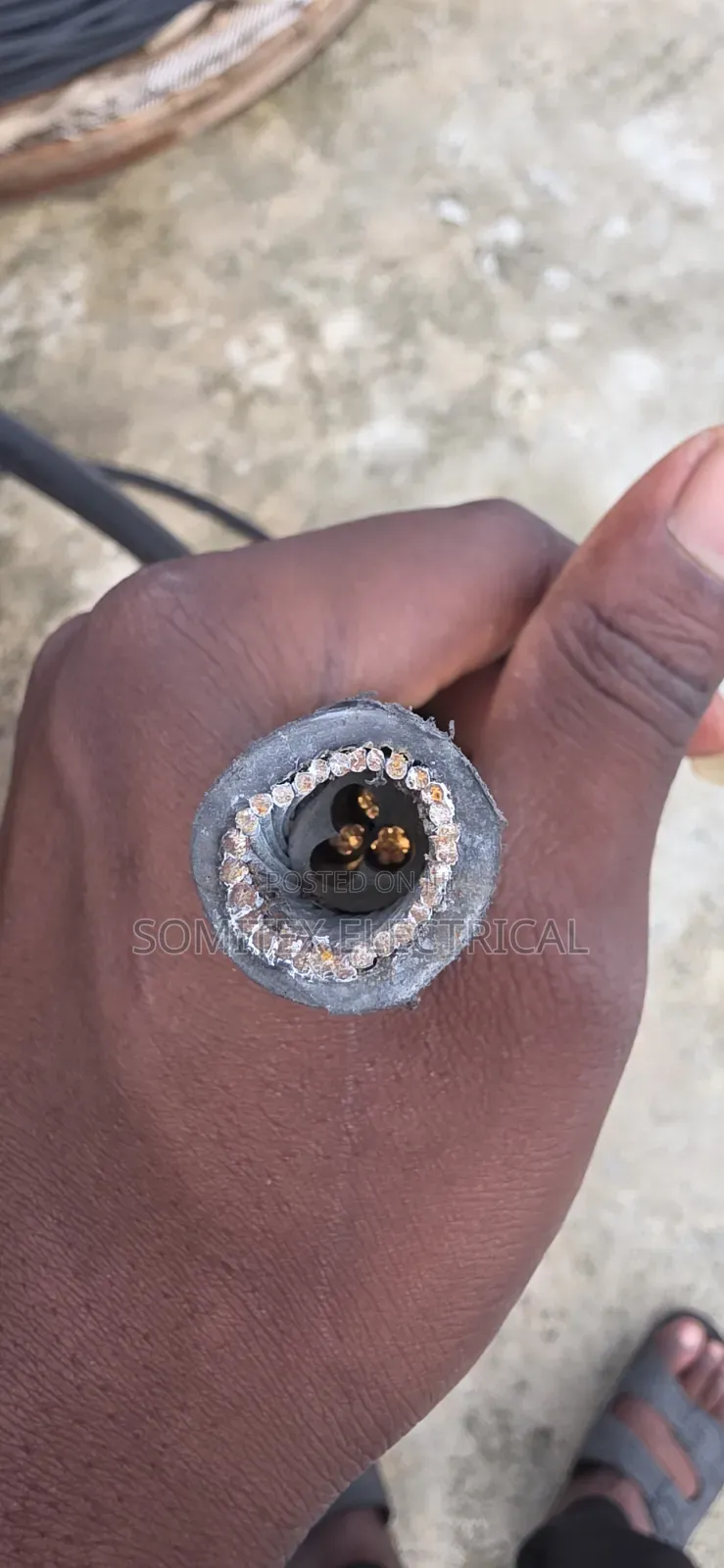 6mmx3core Amoured Turkey