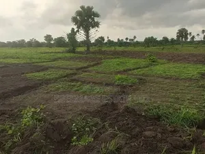 10hectares Multifunction Land in Paiko Kore Village Extension