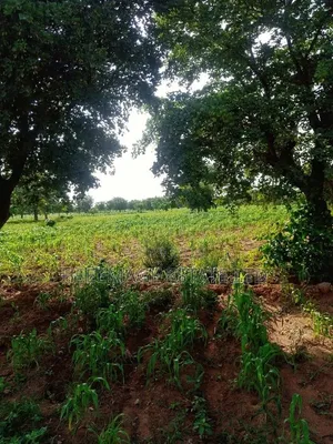 10hectares Multifunction Land in Paiko Kore Village Extension