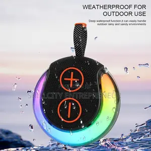 Portable Mini Speaker