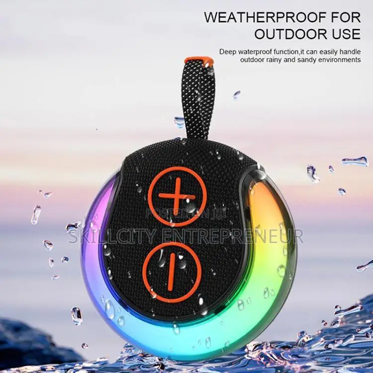 Portable Mini Speaker