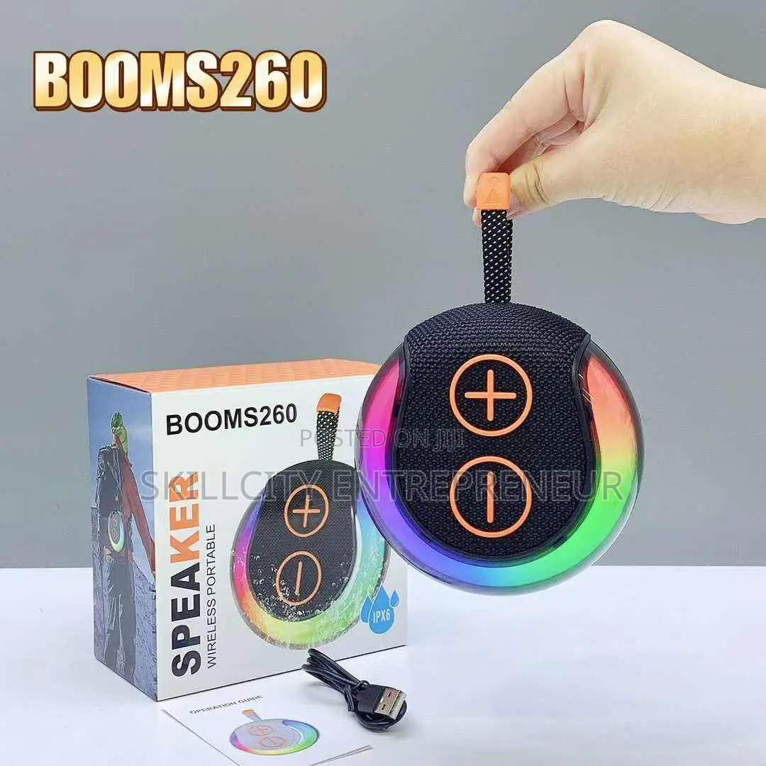 Portable Mini Speaker