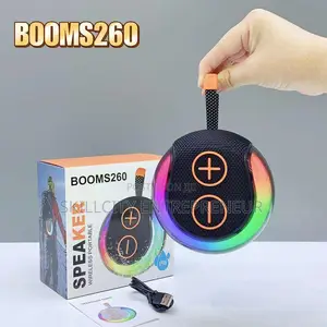 Portable Mini Speaker