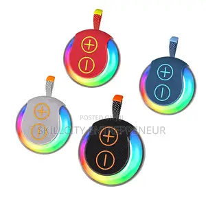 Portable Mini Speaker