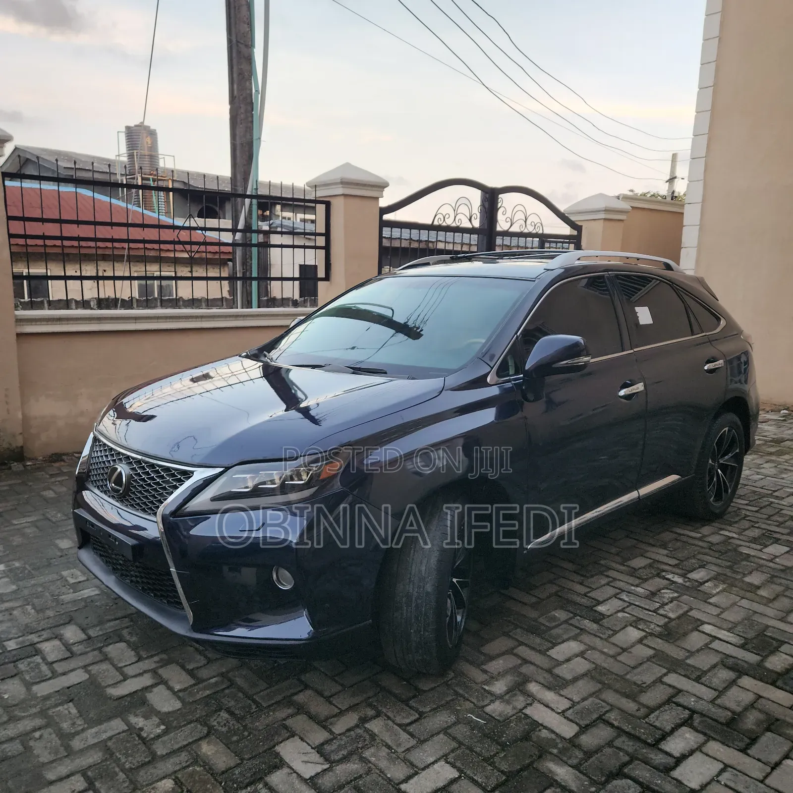 Lexus RX 2010 Blue